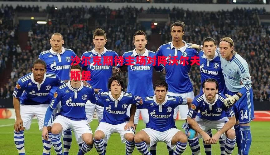 沙尔克期待主场对阵沃尔夫斯堡