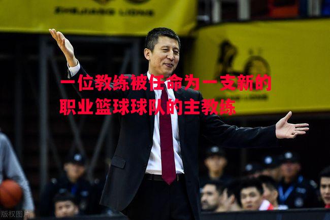 一位教练被任命为一支新的职业篮球球队的主教练