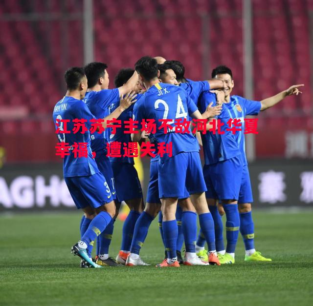 江苏苏宁主场不敌河北华夏幸福，遭遇失利