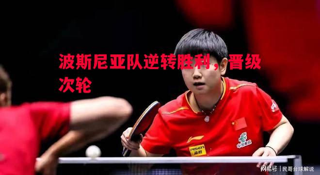 波斯尼亚队逆转胜利，晋级次轮