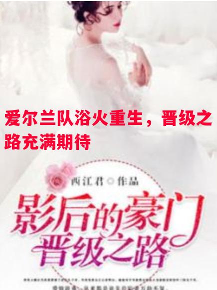爱尔兰队浴火重生，晋级之路充满期待