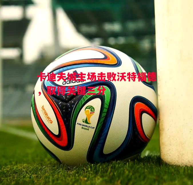 卡迪夫城主场击败沃特福德，取得关键三分