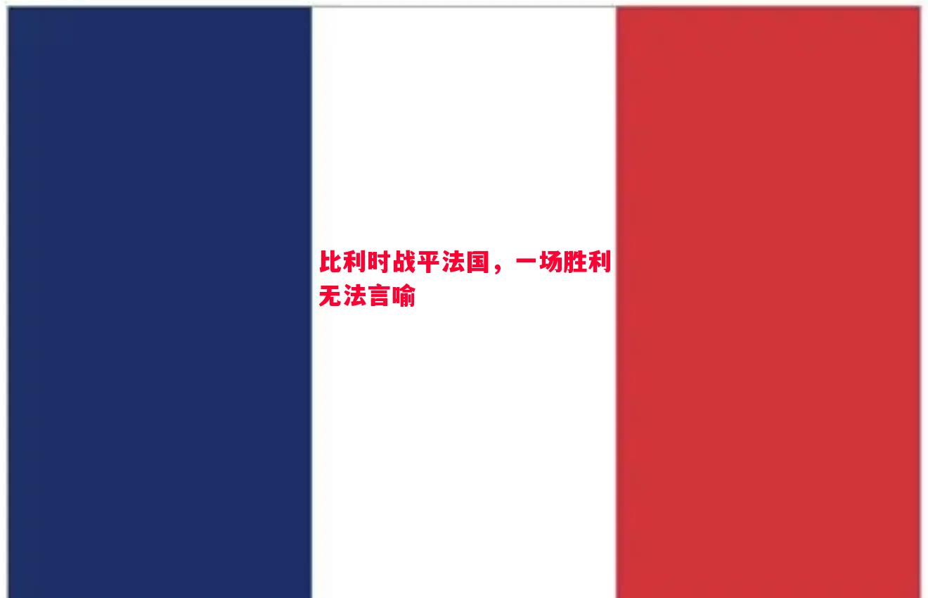 比利时战平法国，一场胜利无法言喻