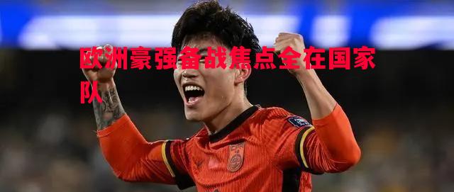 欧洲豪强备战焦点全在国家队