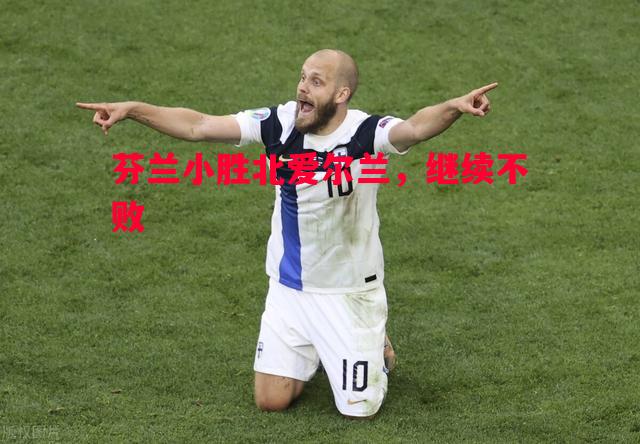 芬兰小胜北爱尔兰，继续不败