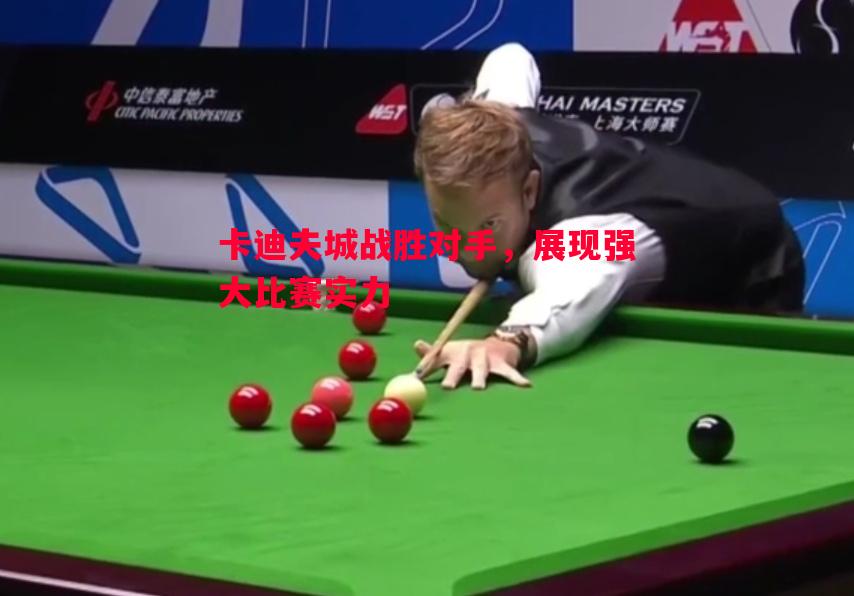 悟空体育-卡迪夫城战胜对手，展现强大比赛实力