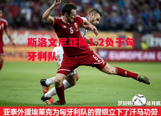 斯洛文尼亚队1-2负于匈牙利队