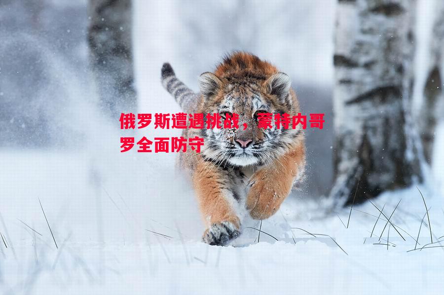 俄罗斯遭遇挑战，蒙特内哥罗全面防守