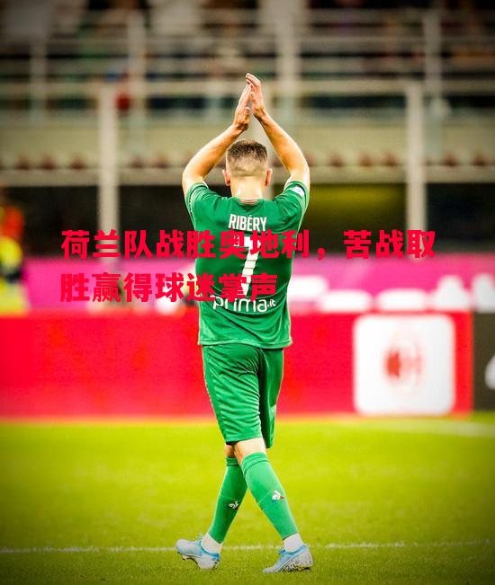 荷兰队战胜奥地利,苦战取胜赢得球迷掌声 荷兰队战胜奥地利,苦战取胜赢得球迷掌声