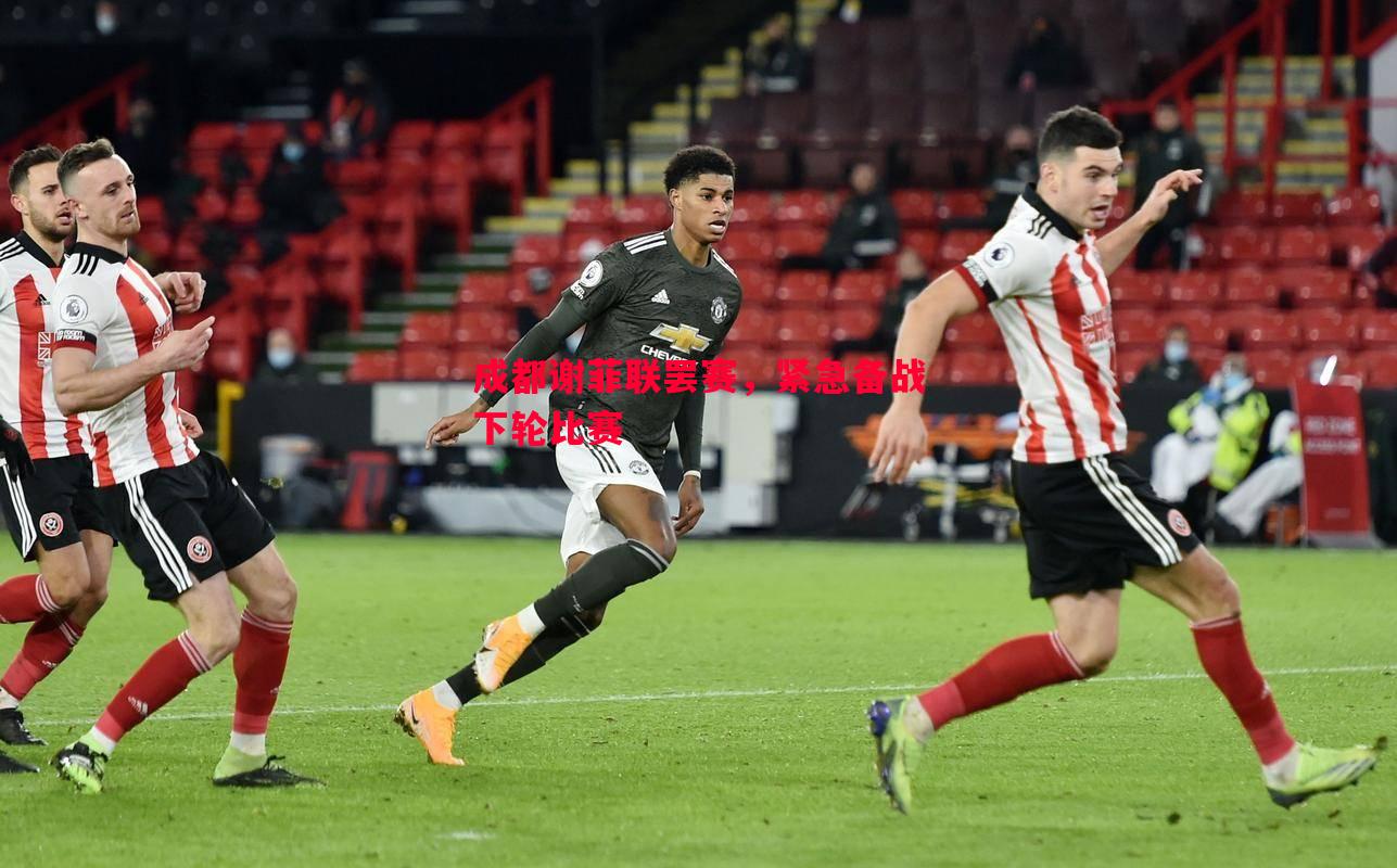 悟空体育-成都谢菲联罢赛，紧急备战下轮比赛