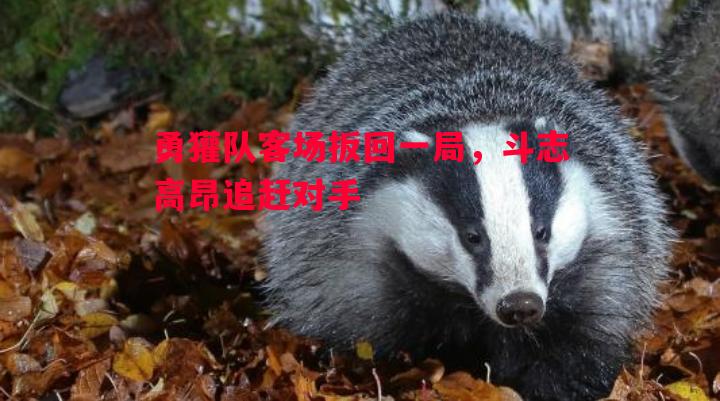 悟空体育-勇獾队客场扳回一局，斗志高昂追赶对手