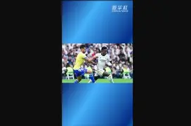 猛虎出笼:法国完胜保加利亚 猛虎出笼:法国完胜保加利亚