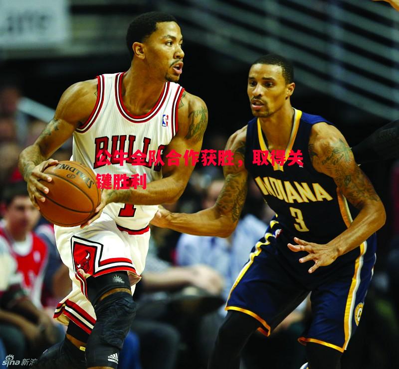 公牛全队合作获胜,取得关键胜利 公牛全队合作获胜,取得关键胜利