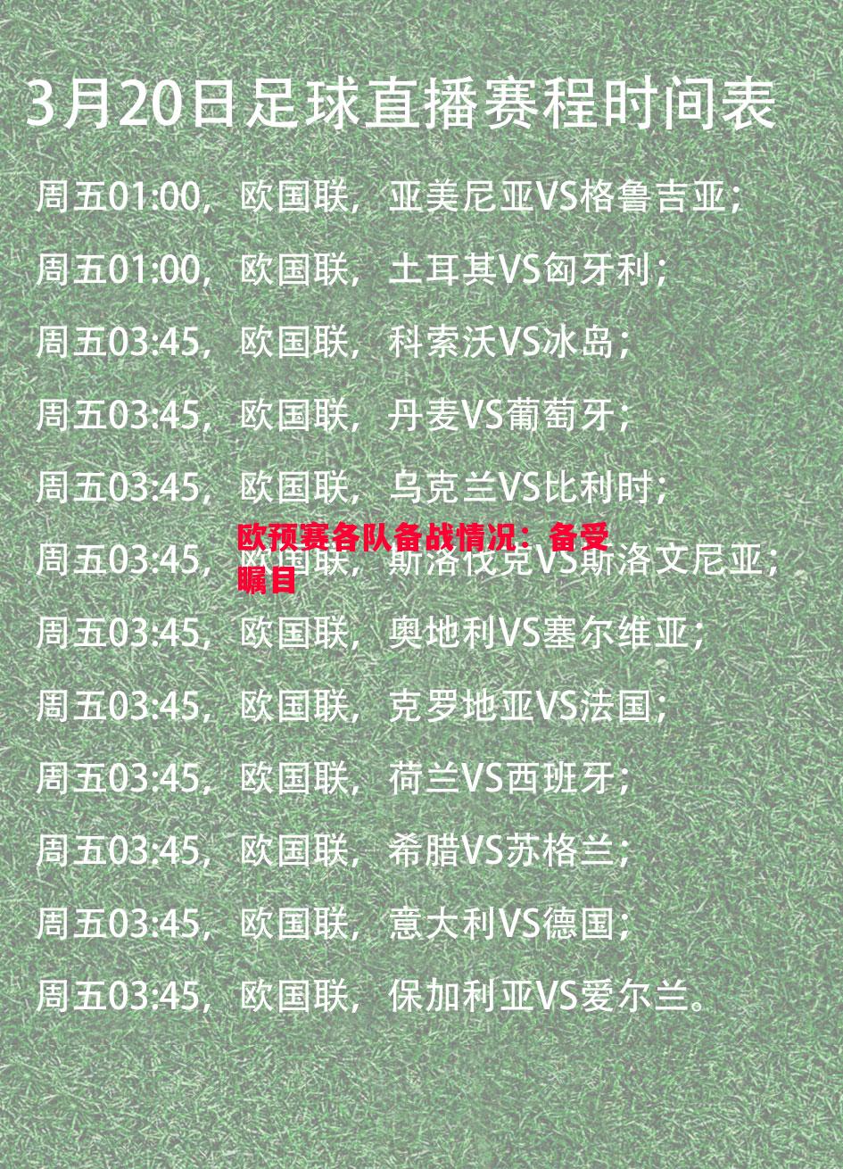 欧预赛各队备战情况:备受瞩目 欧预赛各队备战情况:备受瞩目