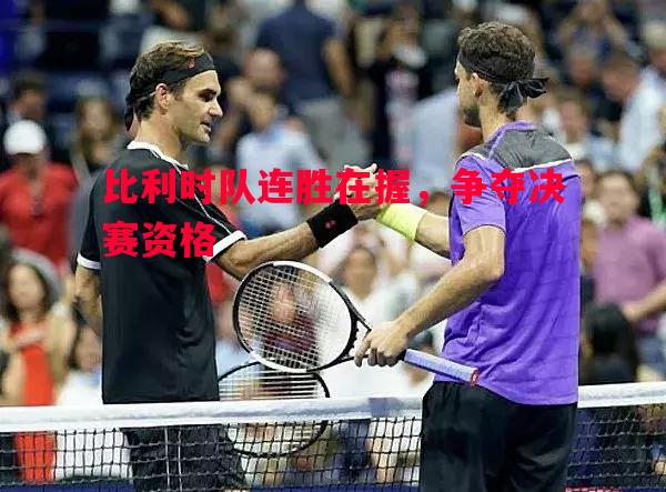 悟空体育官方网站-比利时队连胜在握，争夺决赛资格